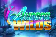 RTP MPOBOS Microgaming slot